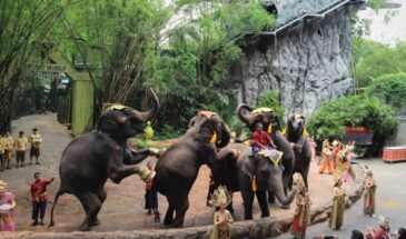 safari-world-marine-park-2