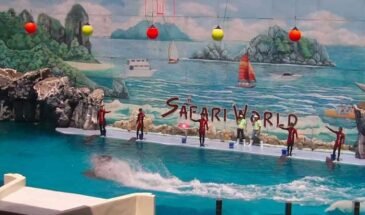 safari-world-park
