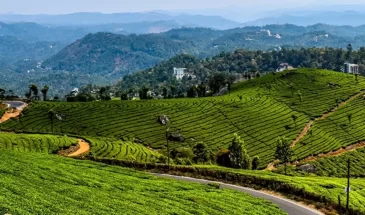 munnar-2