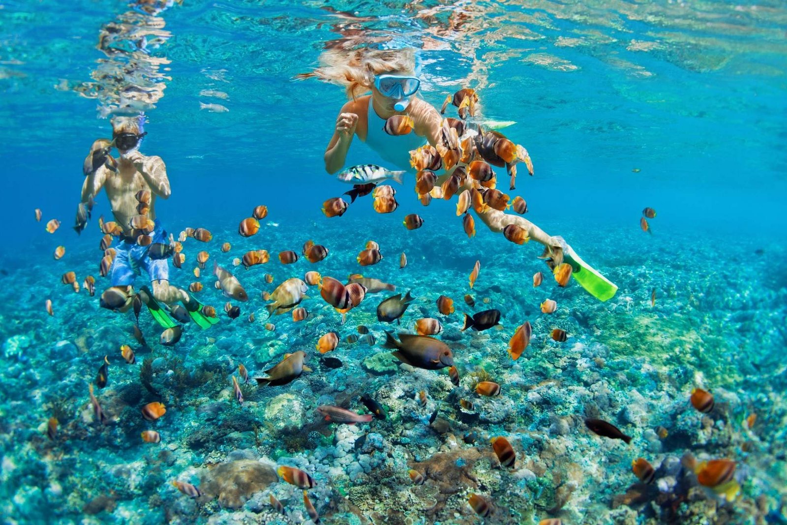 Azure Drift: A Phuket & Phi Phi Island Seascape Journey – 3N/4D